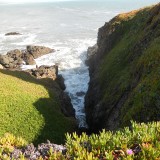 pigeonptlh21_5681125356_o