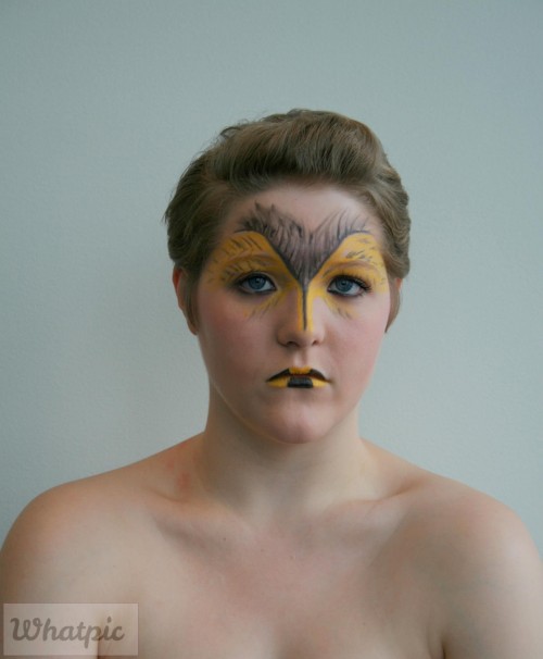 8E0865CD 7BCD 428B BE2E DE2C3BC4B781