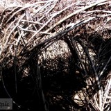 C4B93810-284E-40F7-8A4F-E62F0DE99B04